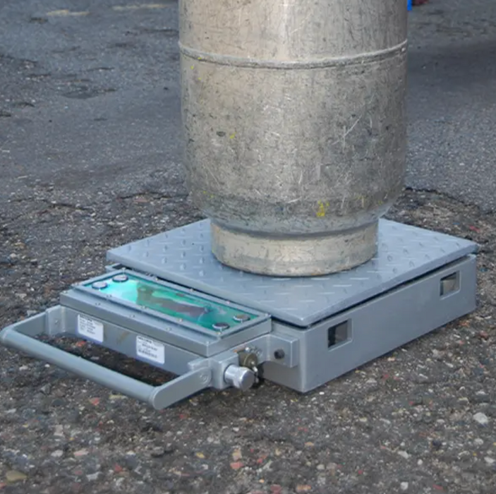 CW250™ Platform Scales