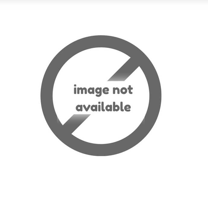 CW250 Transport Wheels (PAIR) (MUST BE ORDERED WITH SCALE)