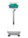 Adam Equipment AGB and AGF Bench and Floor Scales