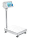 Adam Equipment BCT Advanced Label Printing Scales