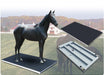 Cambridge Scale Works Model AL660-LA Aluminum Low Profile Large Animal Scale - Northline Scale