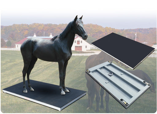 Cambridge Scale Works Model AL660-LA Aluminum Low Profile Large Animal Scale - Northline Scale