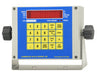Cambridge Scale Works Dyna-Lift Series with Model CSW-20AT Indicator - Northline Scale