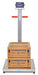 Cambridge Scale Works Model PB-P Series Portable Platform Scale - Northline Scale