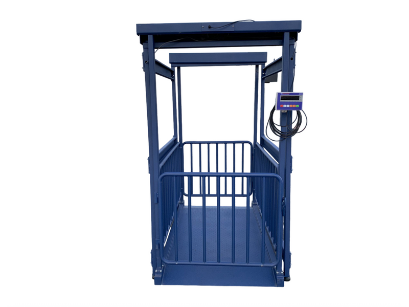 US-BC8020 “Big Blue” Washdown Scale for pigs, hogs, steers, alpacas, small heifers, and more up to 5,000 lb