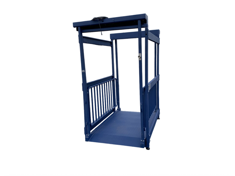 US-BC8020 “Big Blue” Washdown Scale for pigs, hogs, steers, alpacas, small heifers, and more up to 5,000 lb