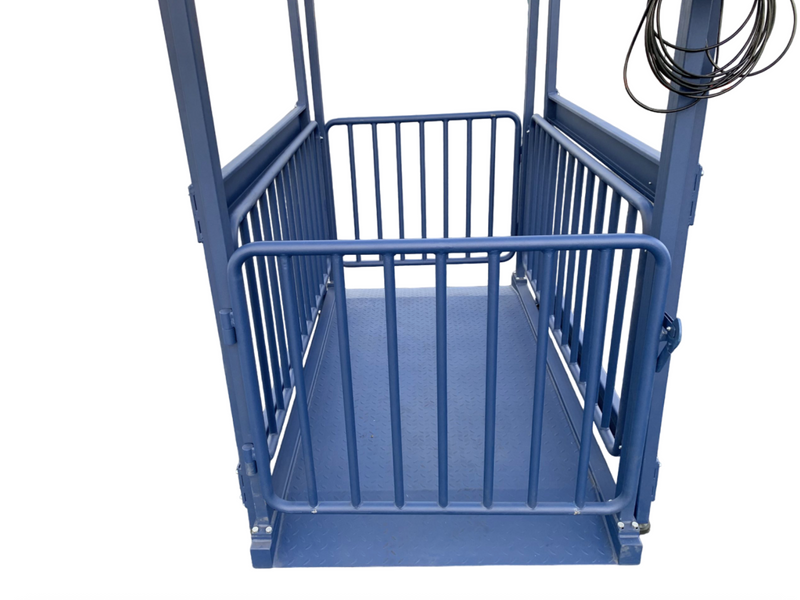 US-BC8020 “Big Blue” Washdown Scale for pigs, hogs, steers, alpacas, small heifers, and more up to 5,000 lb