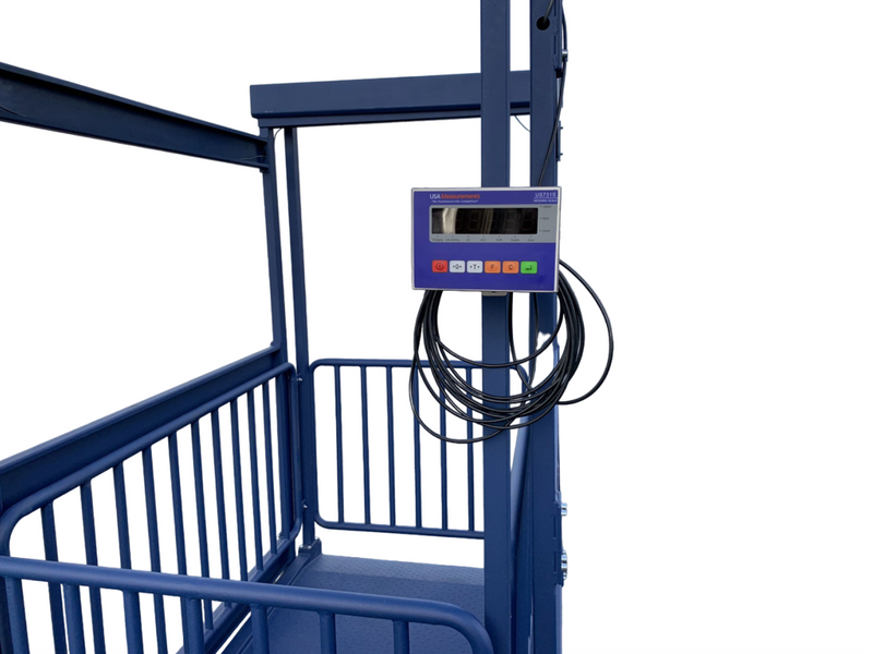 US-BC8020 “Big Blue” Washdown Scale for pigs, hogs, steers, alpacas, small heifers, and more up to 5,000 lb