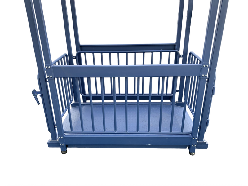 US-BC8020 “Big Blue” Washdown Scale for pigs, hogs, steers, alpacas, small heifers, and more up to 5,000 lb