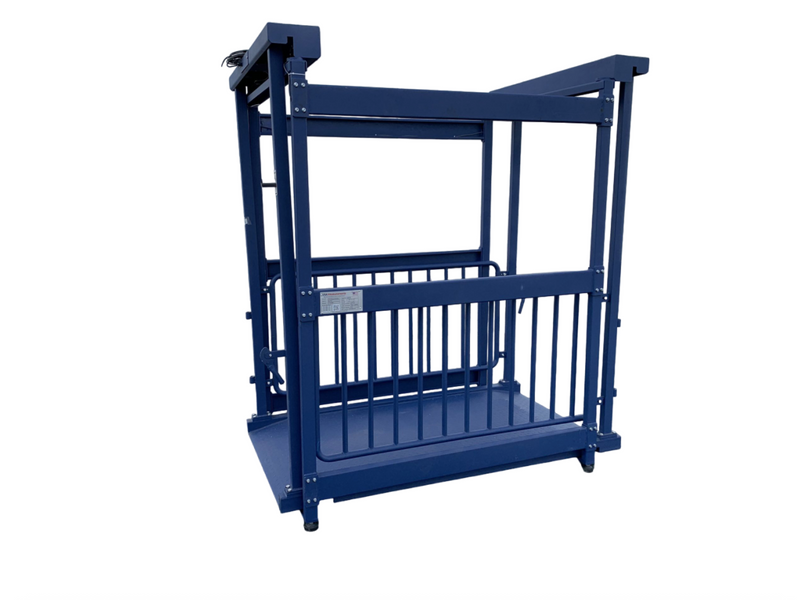 US-BC8020 “Big Blue” Washdown Scale for pigs, hogs, steers, alpacas, small heifers, and more up to 5,000 lb