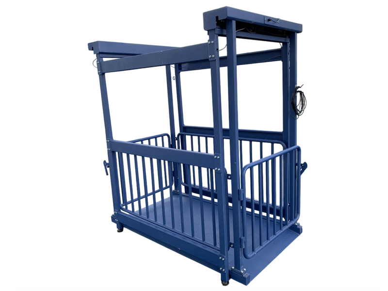 US-BC8020 “Big Blue” Washdown Scale for pigs, hogs, steers, alpacas, small heifers, and more up to 5,000 lb