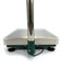 US-WM Weigh Master Bench Scale For Industrial Weighing - Northline Scale