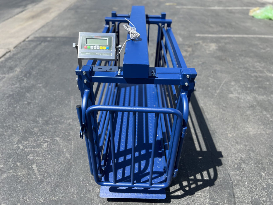 US-BC7120 Big Blue Livestock Scale For Livestock Weighing - Northline Scale
